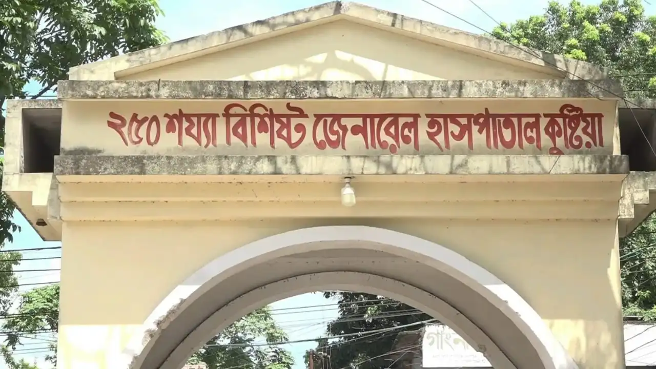 বর্ষায় বাড়ছে সাপের উপদ্রব, ২৪ ঘণ্টায় কুষ্টিয়ার হাসপাতালে ১৩ রোগী