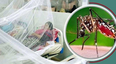 ডেঙ্গু আক্রান্ত হয়ে একজনের মৃত্যু, হাসপাতালে ভর্তি ১১৮