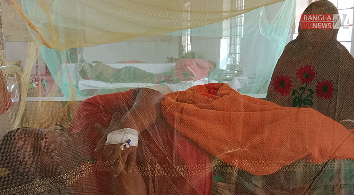 মেহেরপুরে বাড়ছে ডেঙ্গু, এক মাস ২৪ দিনে হাসপাতালে ভর্তি ৪০০