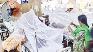 ঠাকুরগাঁওয়ে বাড়ছে ডেঙ্গু রোগীর সংখ্যা