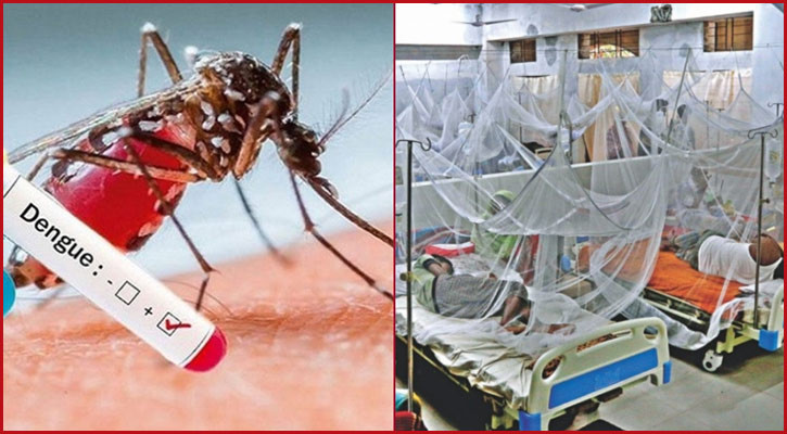 সারাদেশে ডেঙ্গু আক্রান্ত হয়ে হাসপাতালে ভর্তি ২৭১