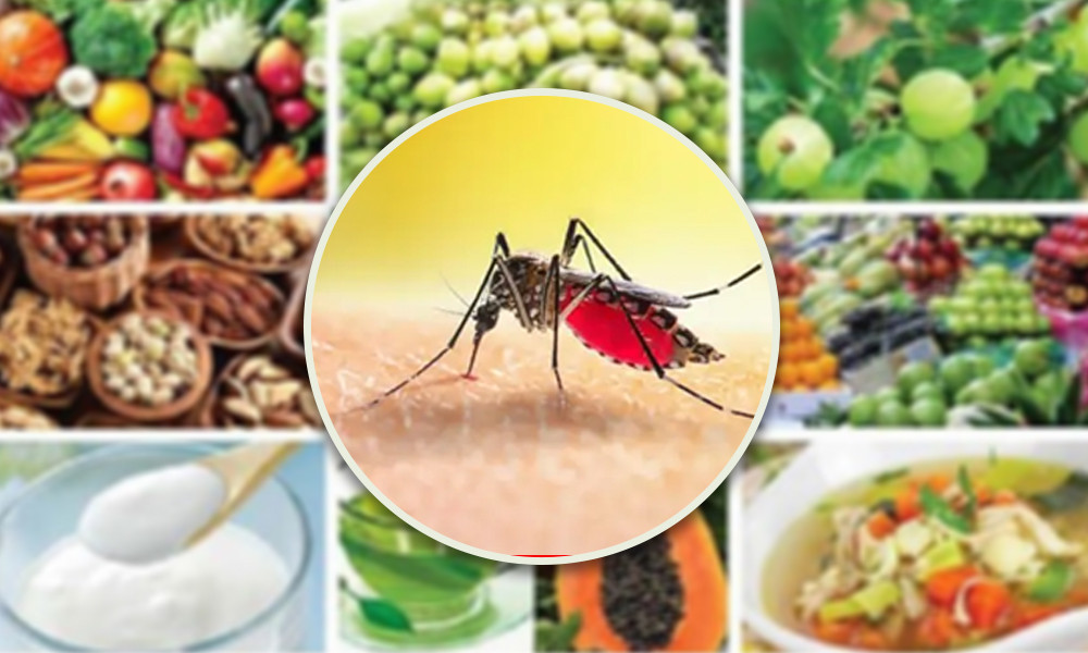 ডেঙ্গুর মারাত্মক ঝুঁকিতে ঢাকাসহ ৪ জেলা
