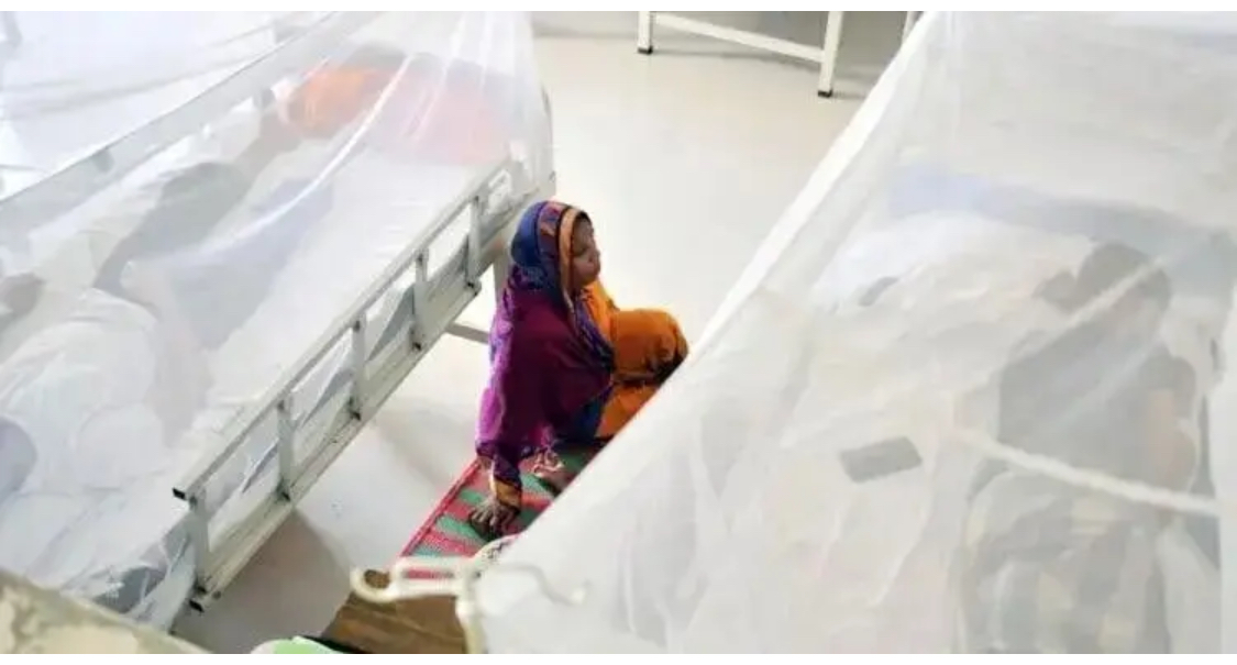 ২৪ ঘণ্টায় ডেঙ্গুতে ৫ জনের মৃত্যু