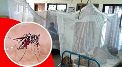 চট্টগ্রামে ২৪ ঘণ্টায় ডেঙ্গু আক্রান্ত ৪৫ জন