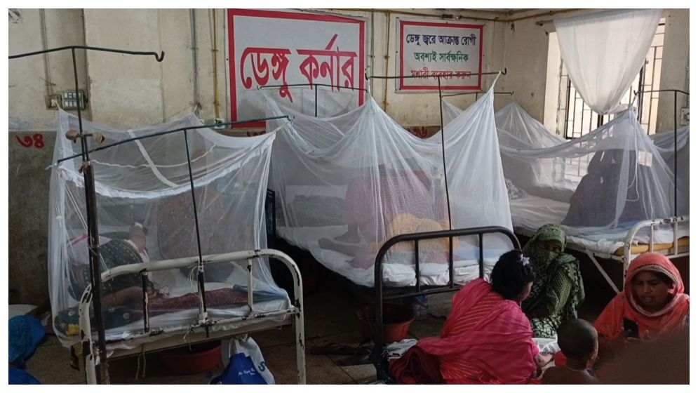 ডেঙ্গু আক্রান্তের শীর্ষে পিরোজপুর, একদিনে শনাক্ত ২০ জন