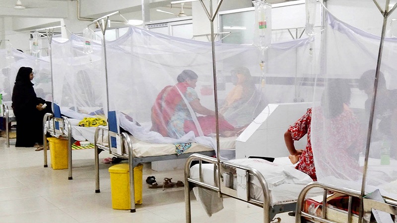 ডেঙ্গুতে আরো ৩ জনের মৃত্যু, আক্রান্ত ৪১১