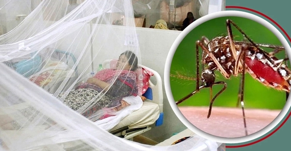 ডেঙ্গুতে ৬ জনের মৃত্যু, রোগী ভর্তিতে রেকর্ড